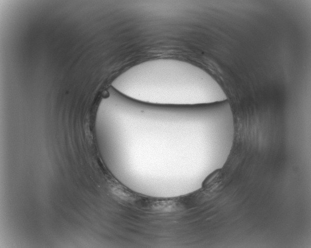 X0000067910377200604131115