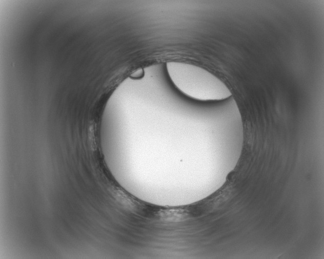 X0000067910378200604131115