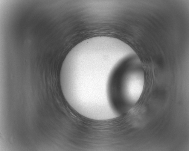 X0000067910380200604131115