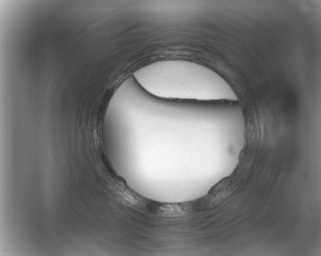 X0000067910381200604131115