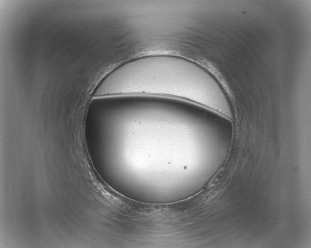 X0000067910385200604131114