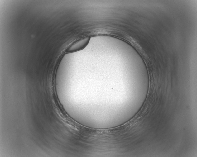 X0000067910386200604131114