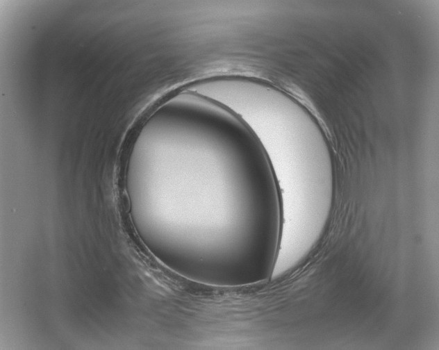 X0000067910387200604131114