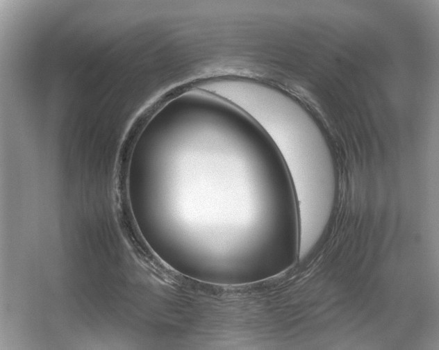 X0000067910388200604131114