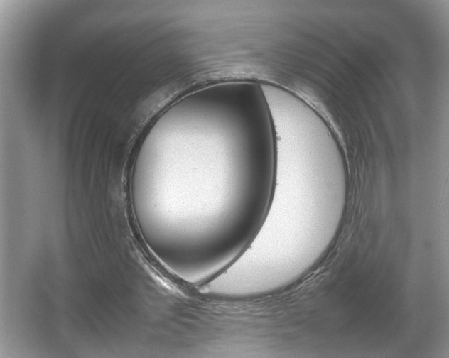 X0000067910389200604131114