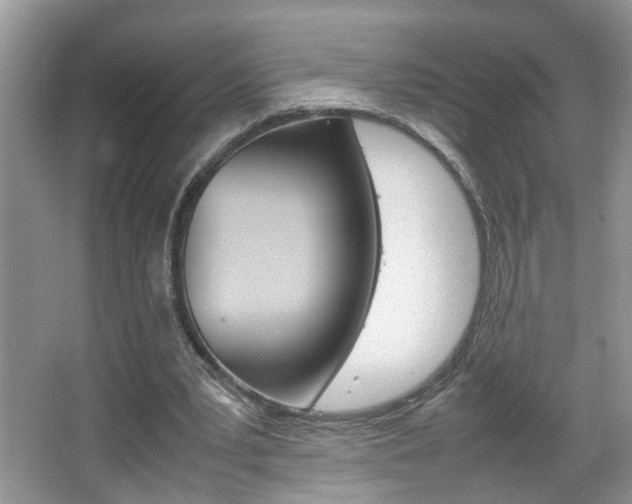 X0000067910391200604131114