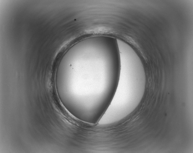 X0000067910392200604131114