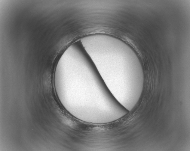 X0000067910394200604131114