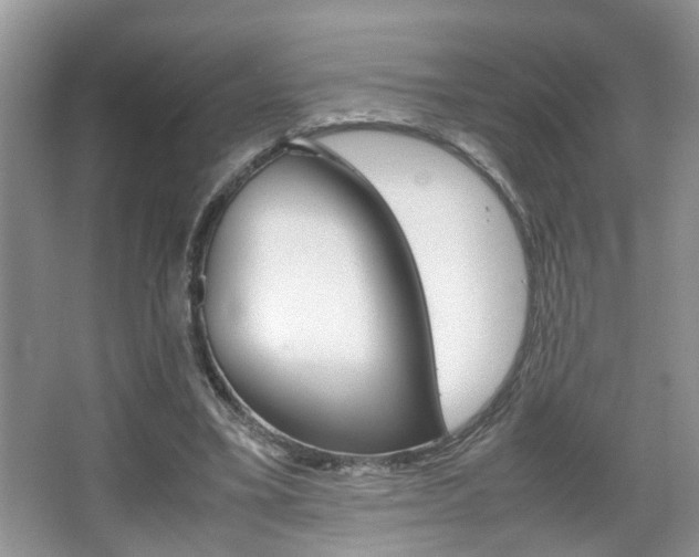 X0000067910395200604131114