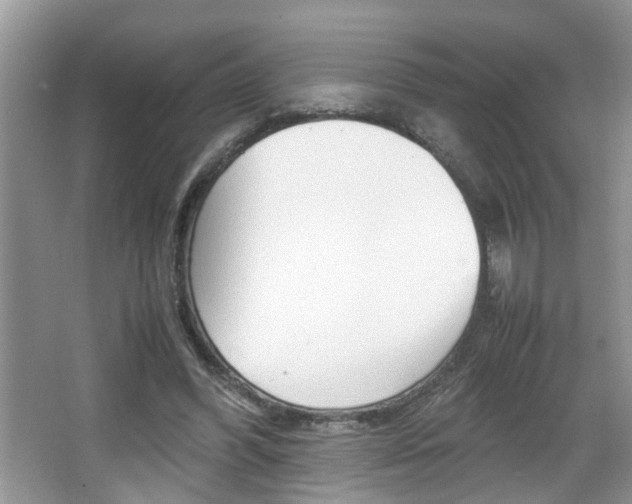 X0000067910396200604131114