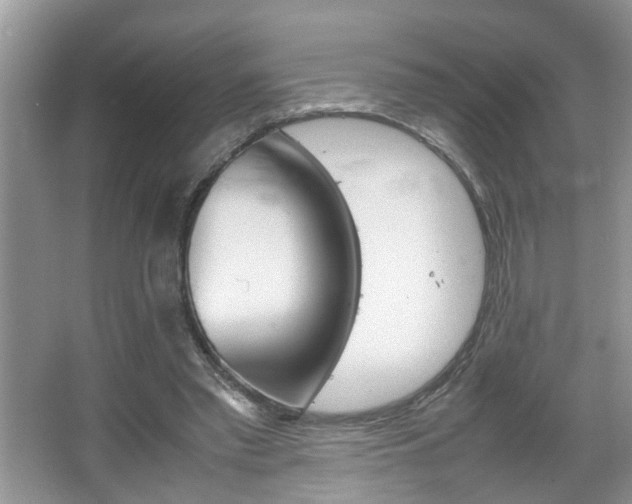 X0000067910397200604131114