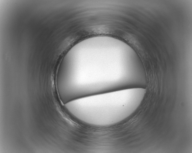 X0000067910398200604131114