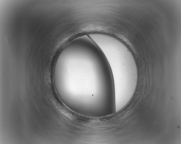 X0000067910399200604131114