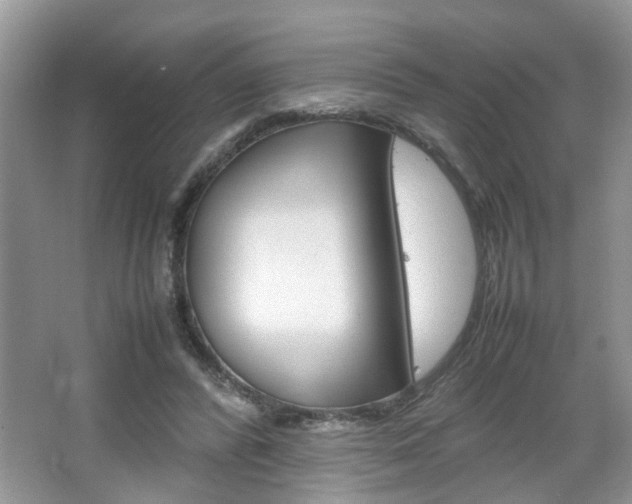 X0000067910400200604131114