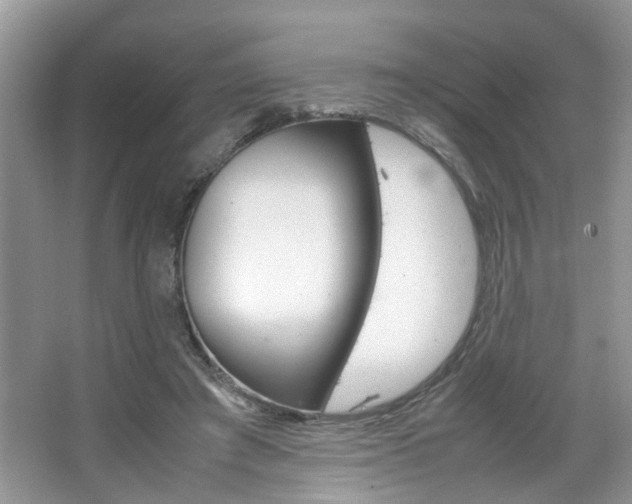 X0000067910401200604131114