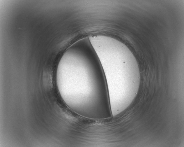 X0000067910404200604131114