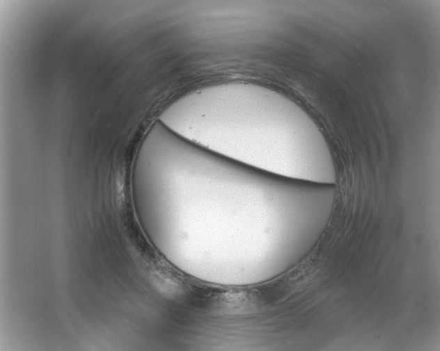 X0000067910406200604131114