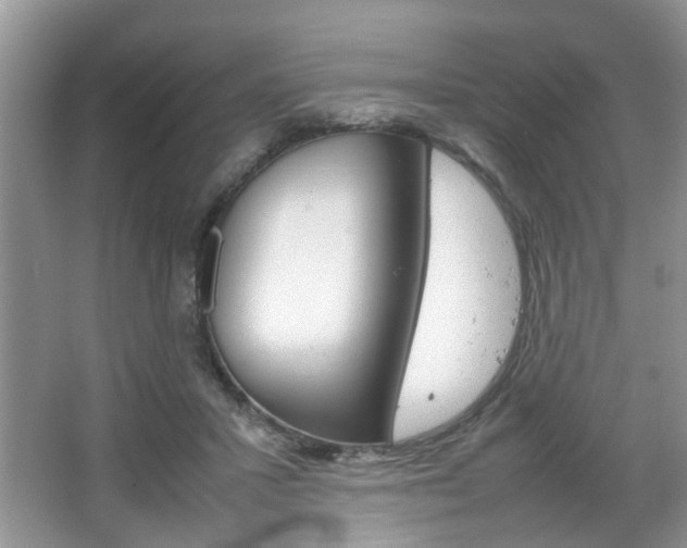 X0000067910407200604131114