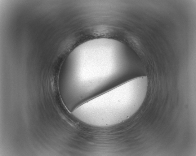 X0000067910408200604131114