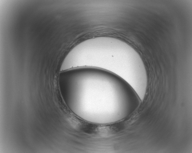 X0000067910413200604131114