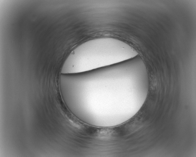 X0000067910414200604131114