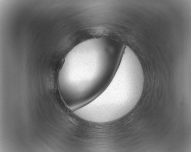 X0000067910416200604131114