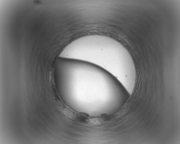 X0000067910417200604131114