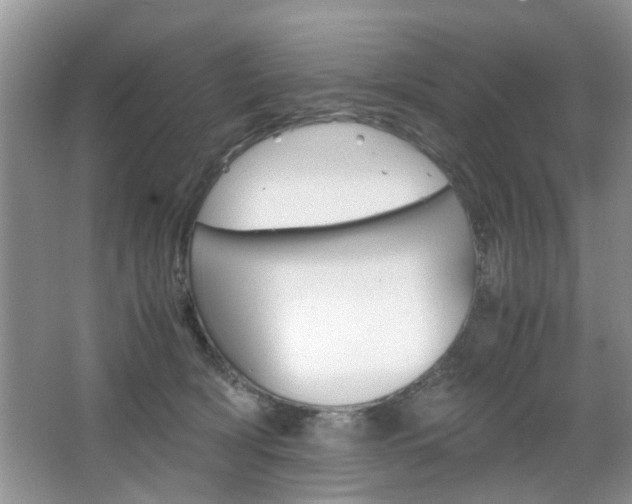 X0000067910418200604131113