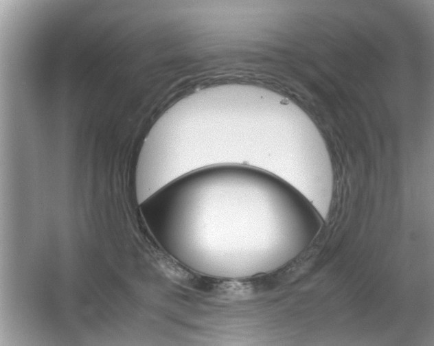 X0000067910421200604131113