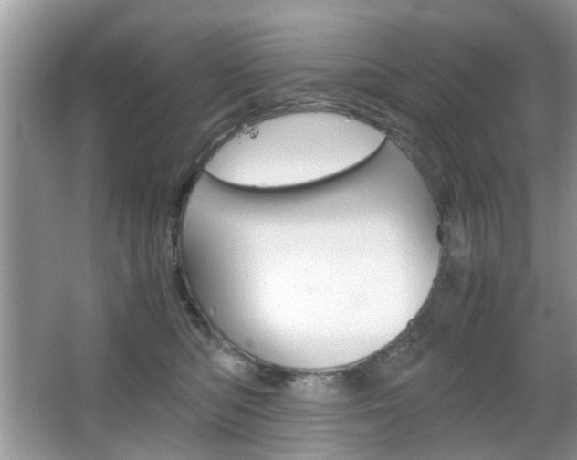 X0000067910422200604131113