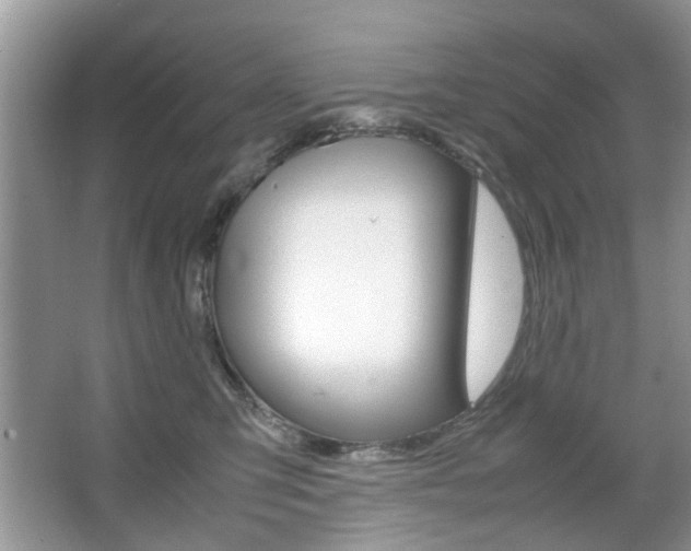 X0000067910423200604131113