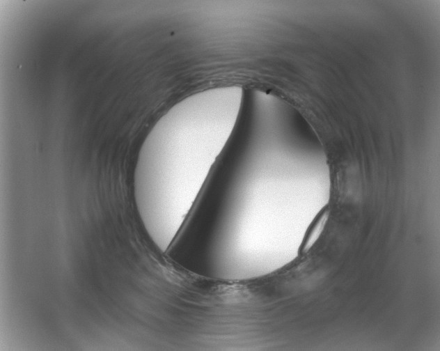 X0000067910424200604131113