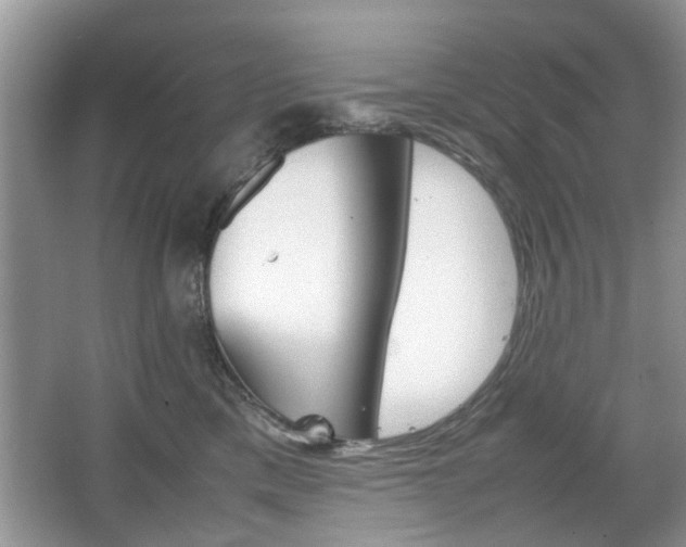 X0000067910425200604131113