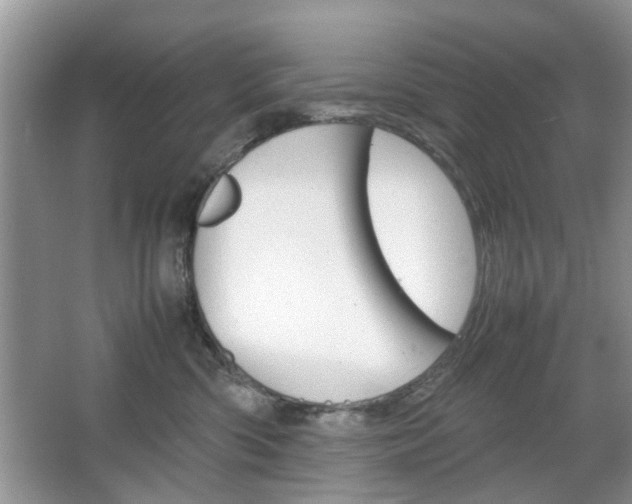 X0000067910426200604131113