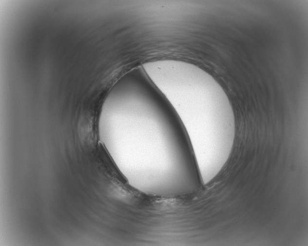 X0000067910428200604131113