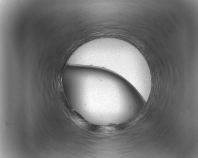 X0000067910429200604131113