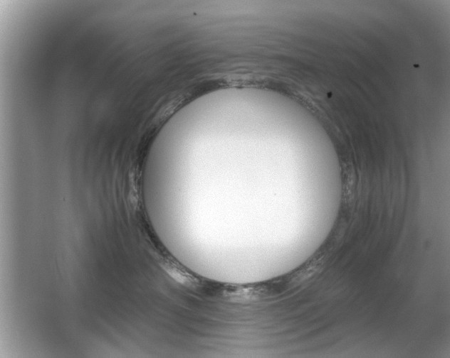 X0000067910430200604131113