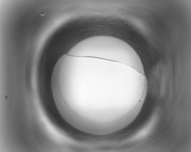 X0000067910431200604131113