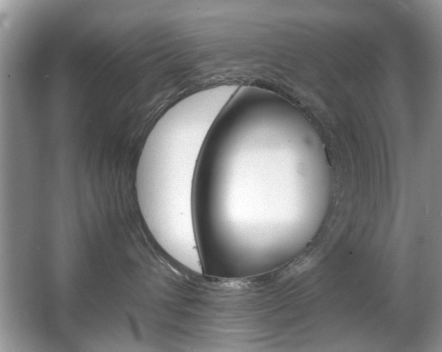 X0000067910432200604131113