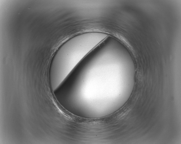 X0000067910433200604131112