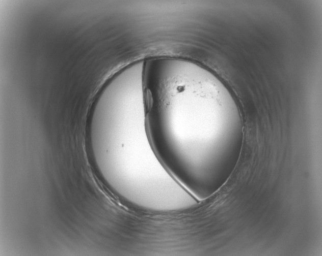 X0000067910434200604131112