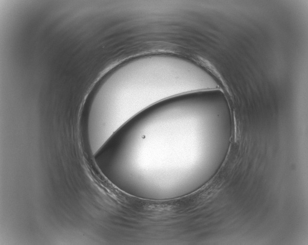 X0000067910435200604131112