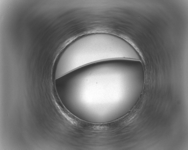 X0000067910437200604131113