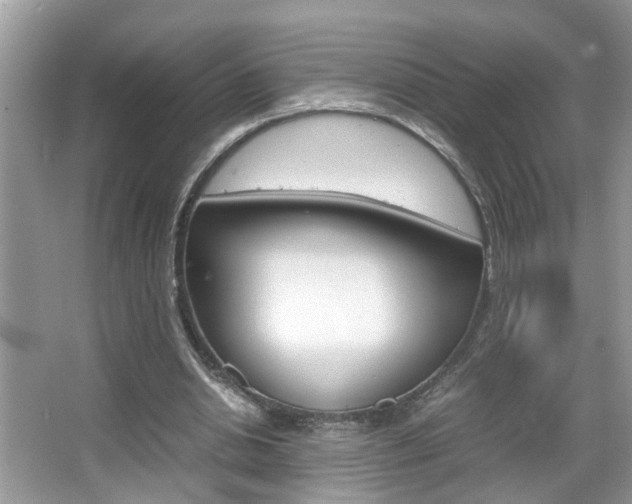 X0000067910438200604131113