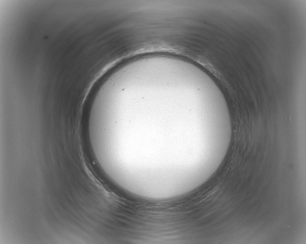 X0000067910440200604131113