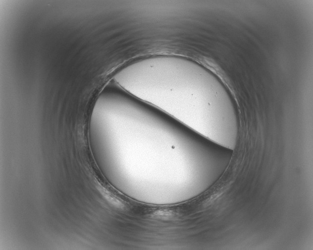 X0000067910441200604131113