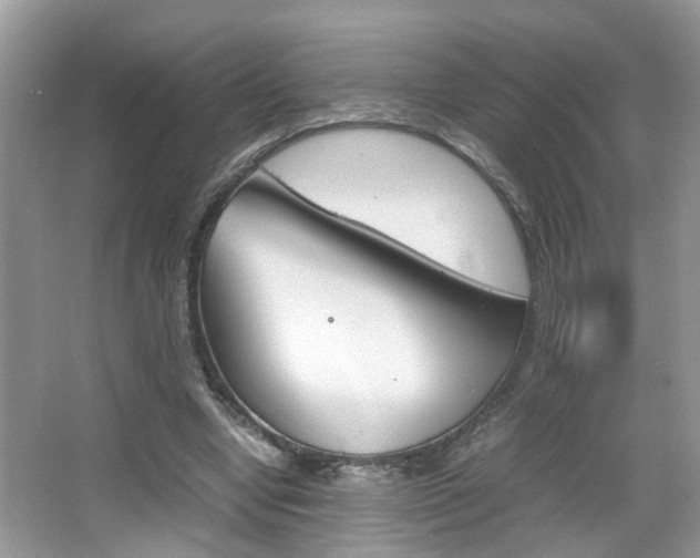 X0000067910442200604131113