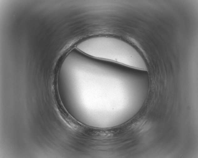 X0000067910443200604131113