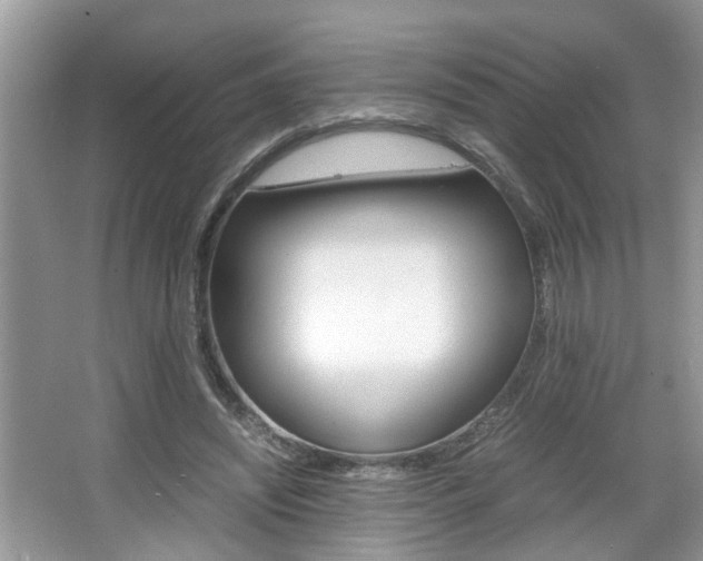 X0000067910444200604131113