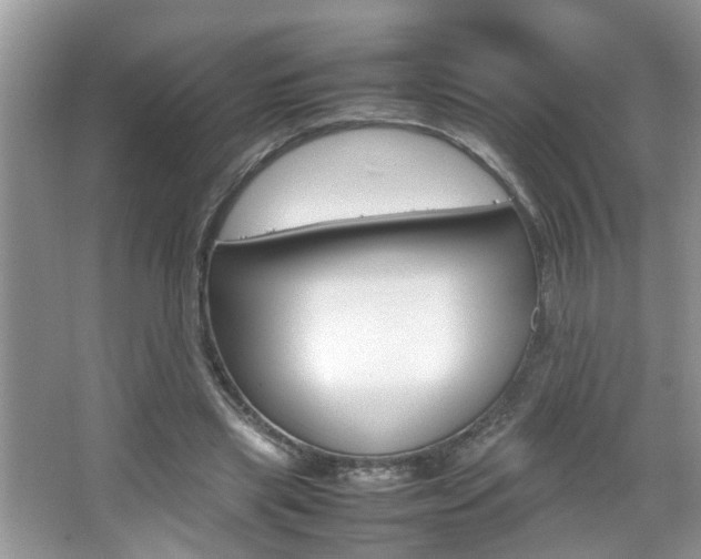 X0000067910445200604131113